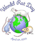 World Rat Day by Bella