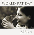 World Rat Day by Susan, Ann, & Emma